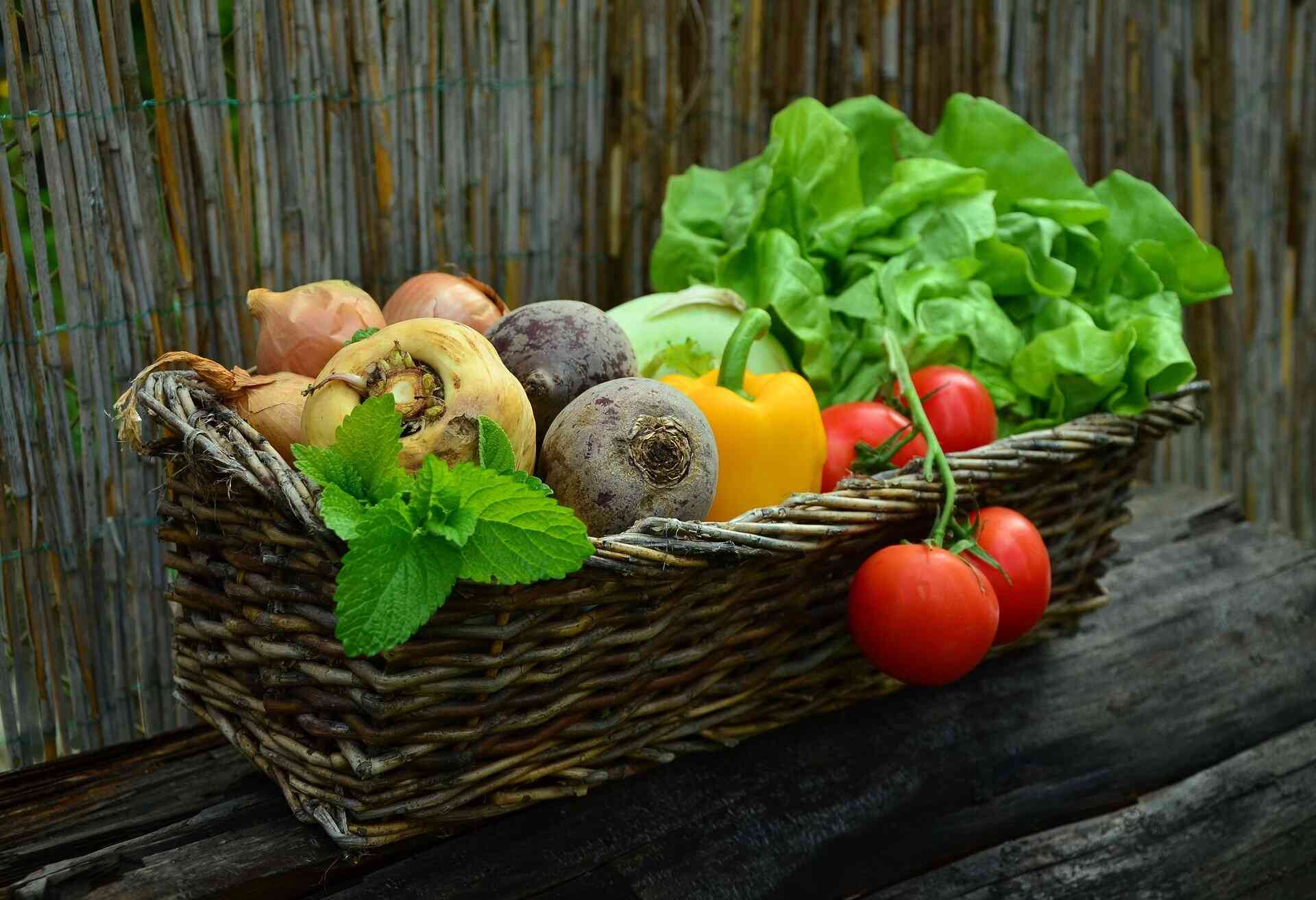 Manger tout en étant éco-responsable, c’est possible !